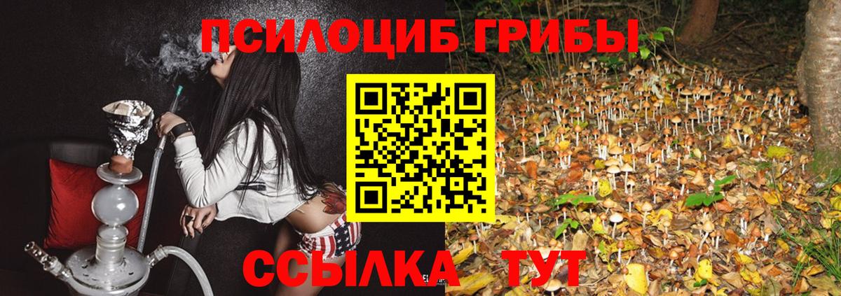 Псилоцибиновые грибы мухоморы Лыткарино